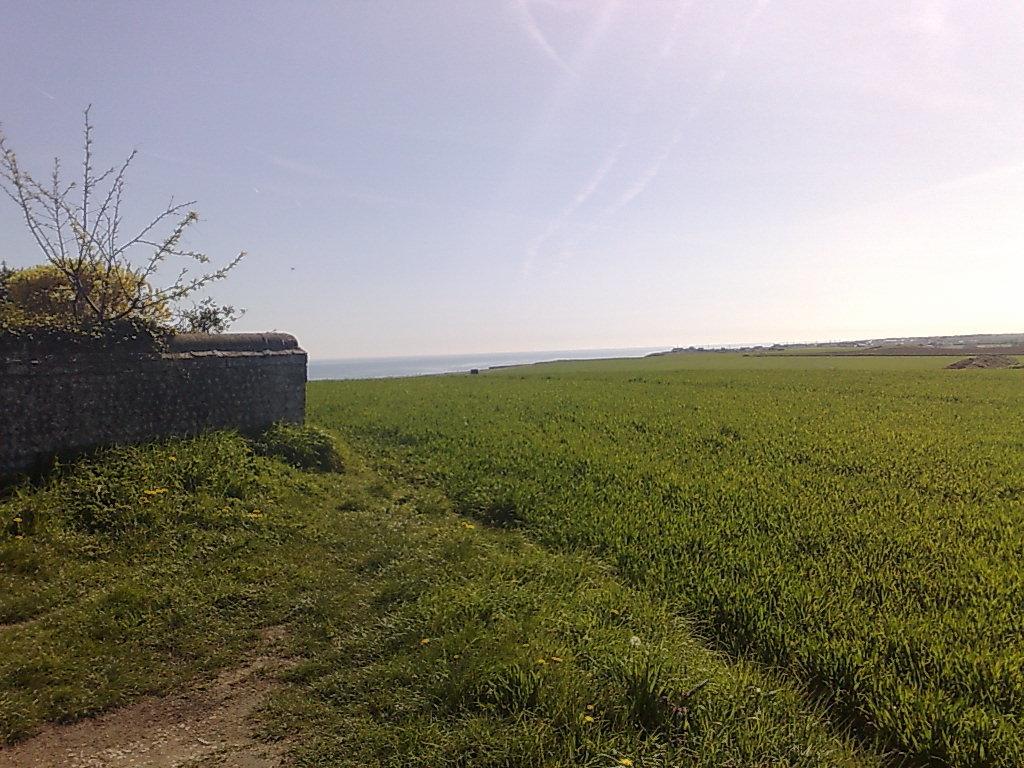 Seaview Cottage Bacton  Εξωτερικό φωτογραφία